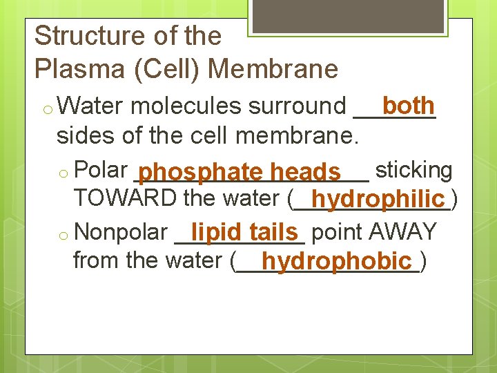 Structure of the Plasma (Cell) Membrane o Water molecules surround ______ both sides of