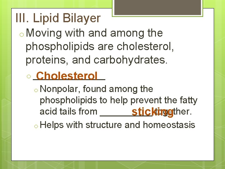 III. Lipid Bilayer o Moving with and among the phospholipids are cholesterol, proteins, and