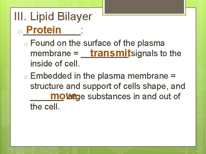III. Lipid Bilayer o _____: Protein Found on the surface of the plasma membrane