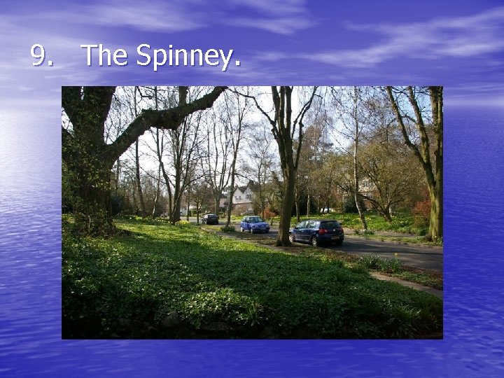 9. The Spinney. 