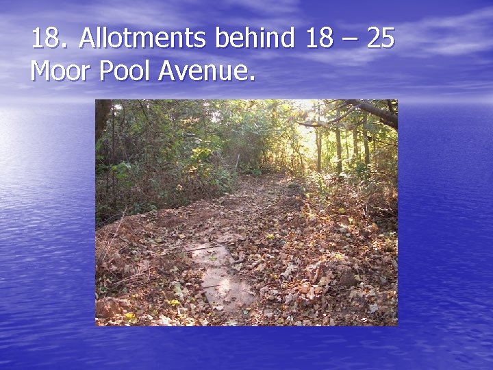 18. Allotments behind 18 – 25 Moor Pool Avenue. 