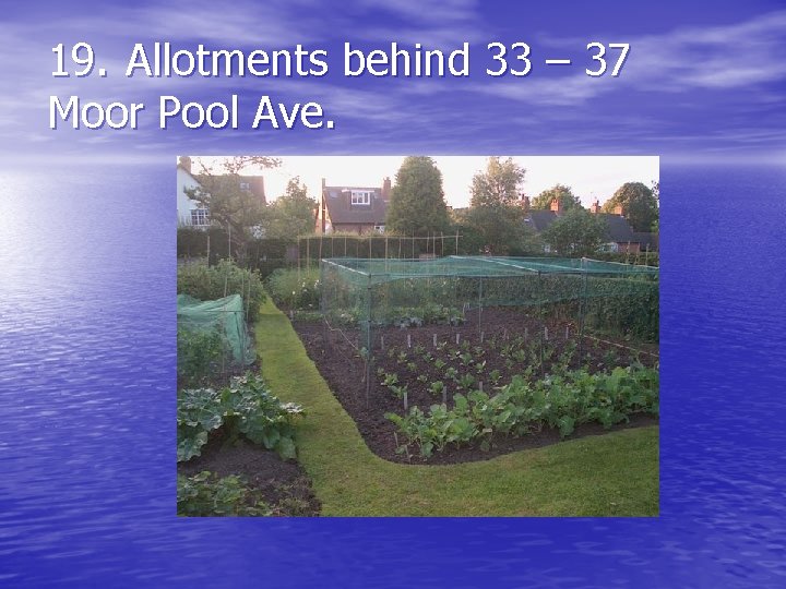 19. Allotments behind 33 – 37 Moor Pool Ave. 