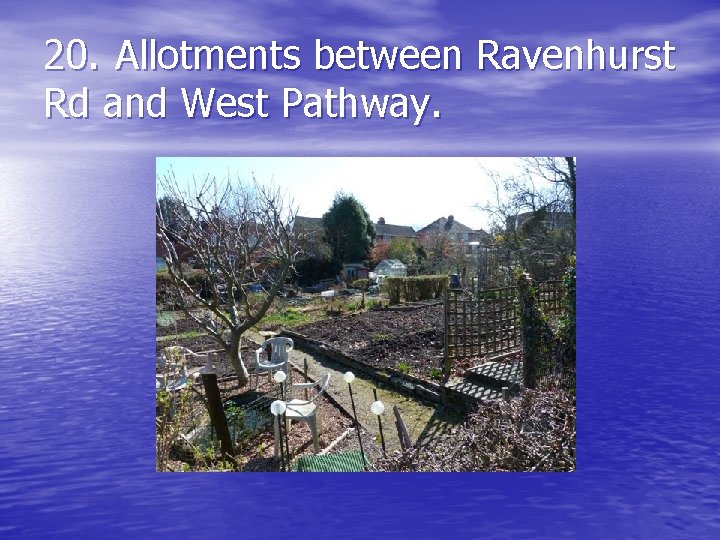 20. Allotments between Ravenhurst Rd and West Pathway. 