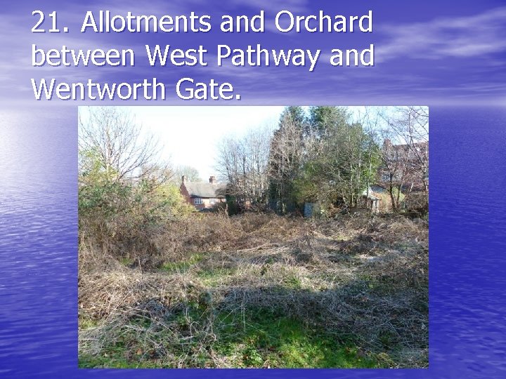 21. Allotments and Orchard between West Pathway and Wentworth Gate. 