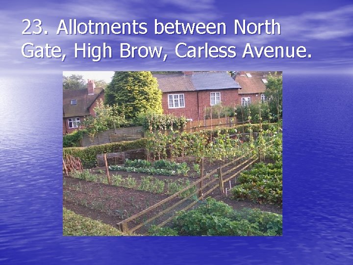 23. Allotments between North Gate, High Brow, Carless Avenue. 