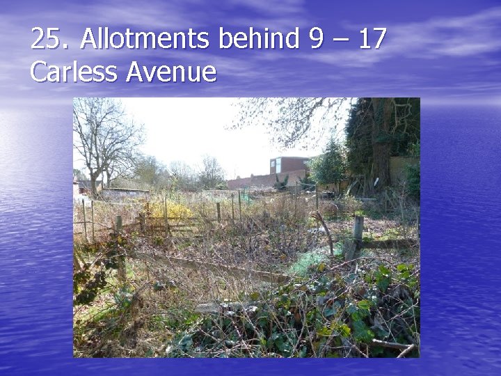 25. Allotments behind 9 – 17 Carless Avenue 