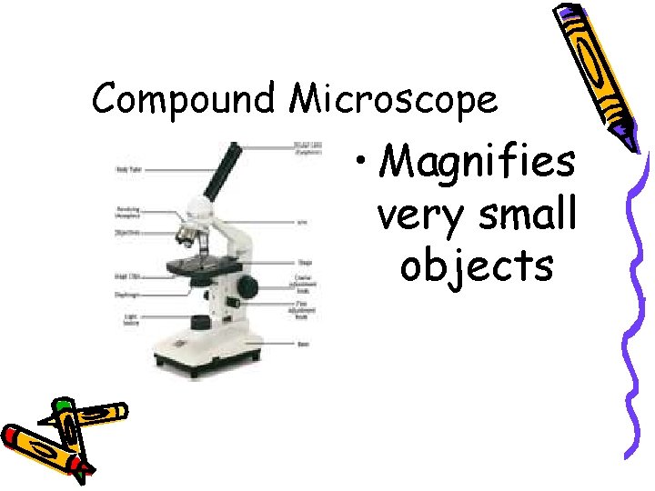 Compound Microscope • Magnifies very small objects 