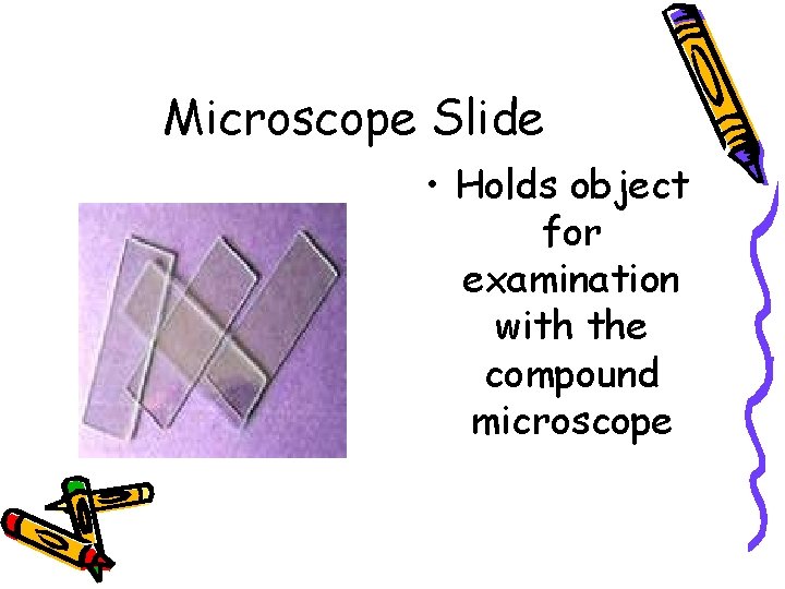 Microscope Slide • Holds object for examination with the compound microscope 