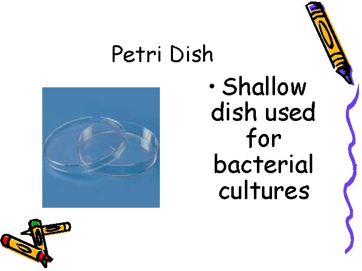 Petri Dish • Shallow dish used for bacterial cultures 