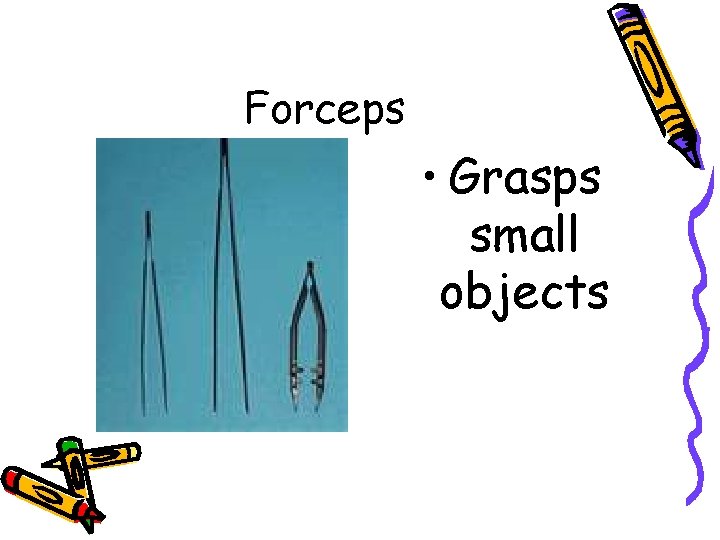 Forceps • Grasps small objects 