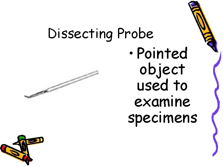 Dissecting Probe • Pointed object used to examine specimens 