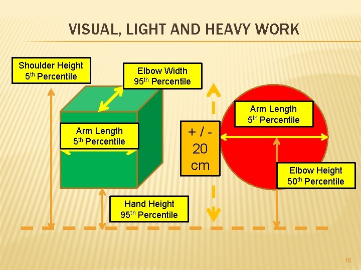 VISUAL, LIGHT AND HEAVY WORK Shoulder Height 5 th Percentile Elbow Width 95 th