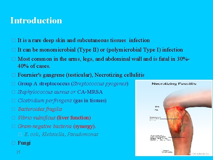 Introduction � It is a rare deep skin and subcutaneous tissues infection � It