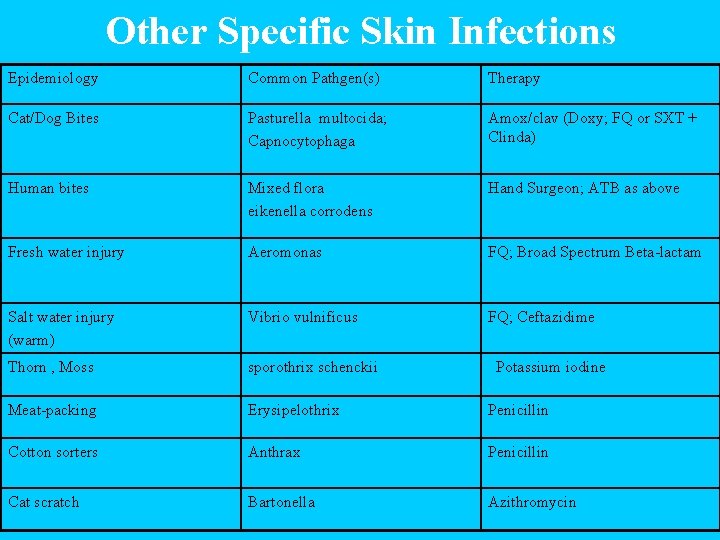 Other Specific Skin Infections Epidemiology Common Pathgen(s) Therapy Cat/Dog Bites Pasturella multocida; Capnocytophaga Amox/clav