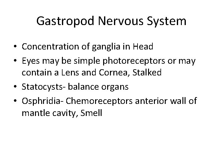 Gastropod Nervous System • Concentration of ganglia in Head • Eyes may be simple