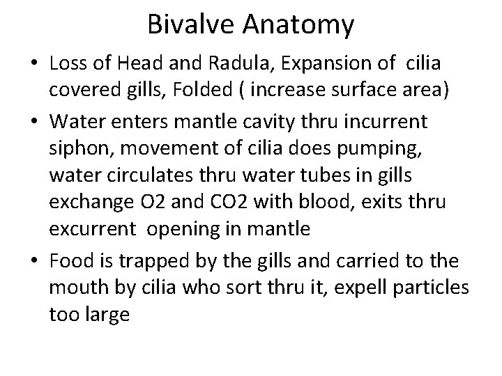 Bivalve Anatomy • Loss of Head and Radula, Expansion of cilia covered gills, Folded