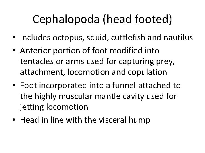 Cephalopoda (head footed) • Includes octopus, squid, cuttlefish and nautilus • Anterior portion of