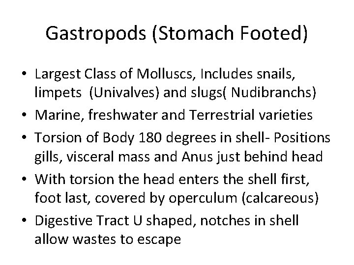 Gastropods (Stomach Footed) • Largest Class of Molluscs, Includes snails, limpets (Univalves) and slugs(