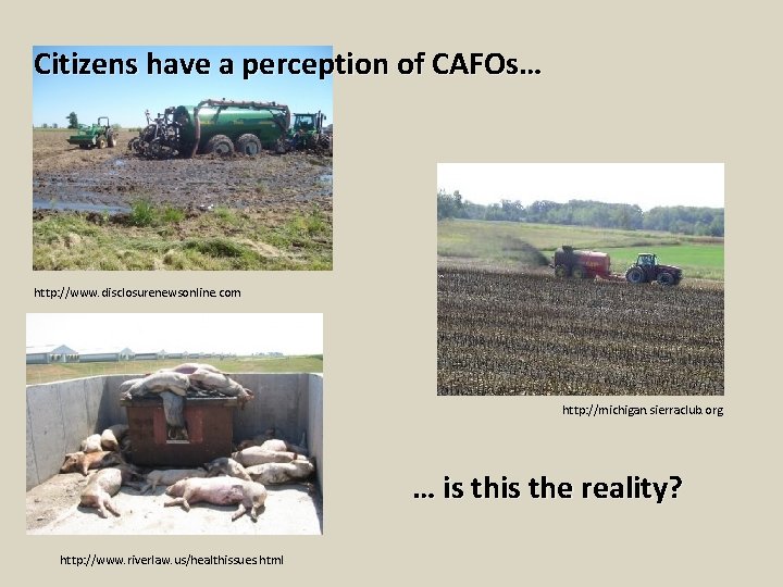 Citizens have a perception of CAFOs… http: //www. disclosurenewsonline. com http: //michigan. sierraclub. org