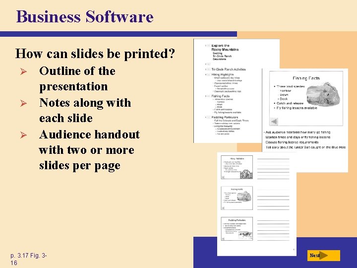 Business Software How can slides be printed? Ø Ø Ø Outline of the presentation