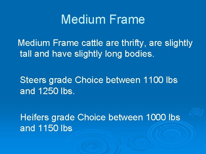 Medium Frame cattle are thrifty, are slightly tall and have slightly long bodies. Steers