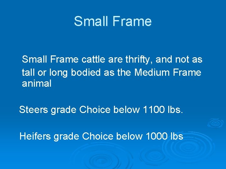 Small Frame cattle are thrifty, and not as tall or long bodied as the