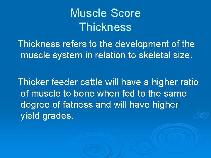 Muscle Score Thickness refers to the development of the muscle system in relation to