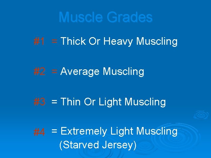Muscle Grades #1 = Thick Or Heavy Muscling #2 = Average Muscling #3 =