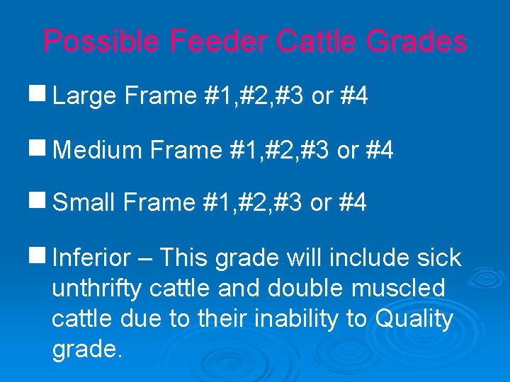 Possible Feeder Cattle Grades g Large Frame #1, #2, #3 or #4 g Medium