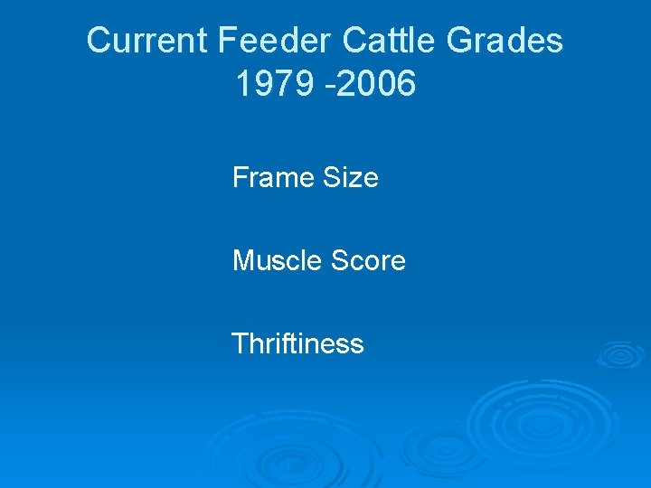 Current Feeder Cattle Grades 1979 -2006 Frame Size Muscle Score Thriftiness 