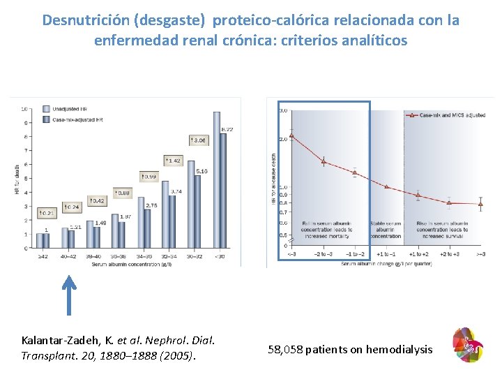 Desnutrición (desgaste) proteico-calórica relacionada con la enfermedad renal crónica: criterios analíticos Kalantar-Zadeh, K. et