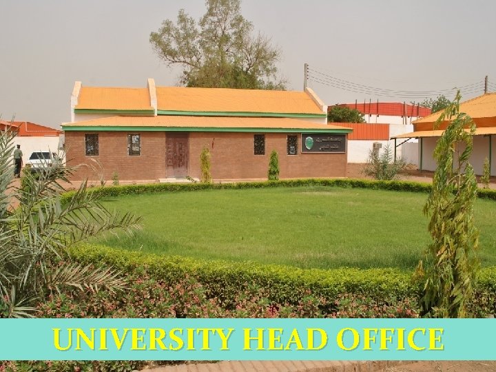 UNIVERSITY HEAD OFFICE 