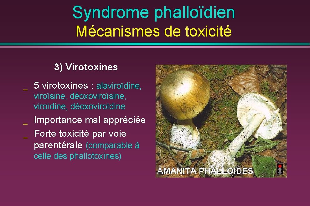 Syndrome phalloïdien Mécanismes de toxicité 3) Virotoxines _ 5 virotoxines : alaviroïdine, viroïsine, déoxoviroïsine,