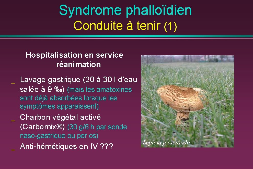 Syndrome phalloïdien Conduite à tenir (1) Hospitalisation en service réanimation _ Lavage gastrique (20