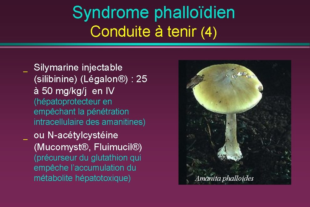 Syndrome phalloïdien Conduite à tenir (4) _ Silymarine injectable (silibinine) (Légalon®) : 25 à