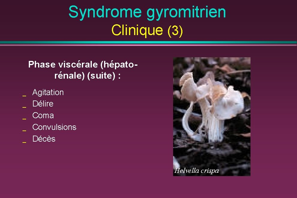 Syndrome gyromitrien Clinique (3) Phase viscérale (hépatorénale) (suite) : _ _ _ Agitation Délire