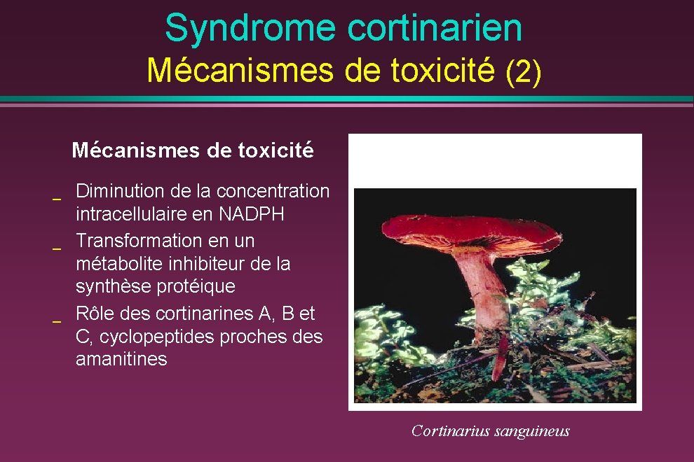 Syndrome cortinarien Mécanismes de toxicité (2) Mécanismes de toxicité _ _ _ Diminution de