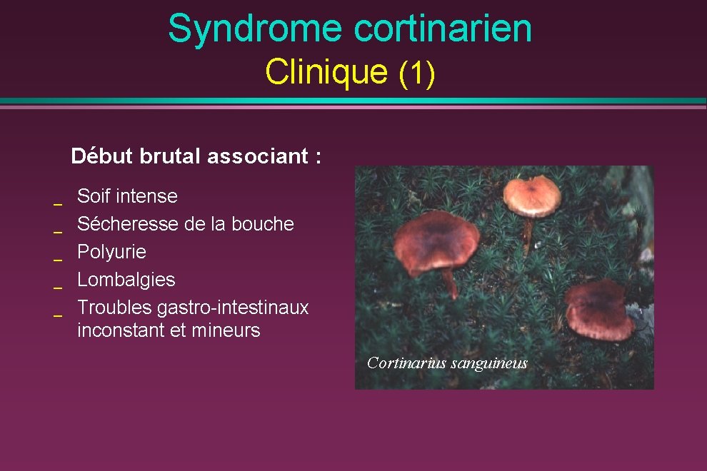 Syndrome cortinarien Clinique (1) Début brutal associant : _ _ _ Soif intense Sécheresse