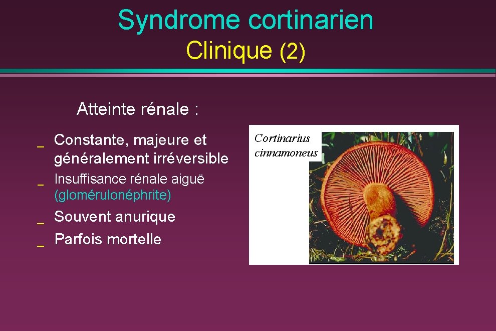 Syndrome cortinarien Clinique (2) Atteinte rénale : _ Constante, majeure et généralement irréversible _