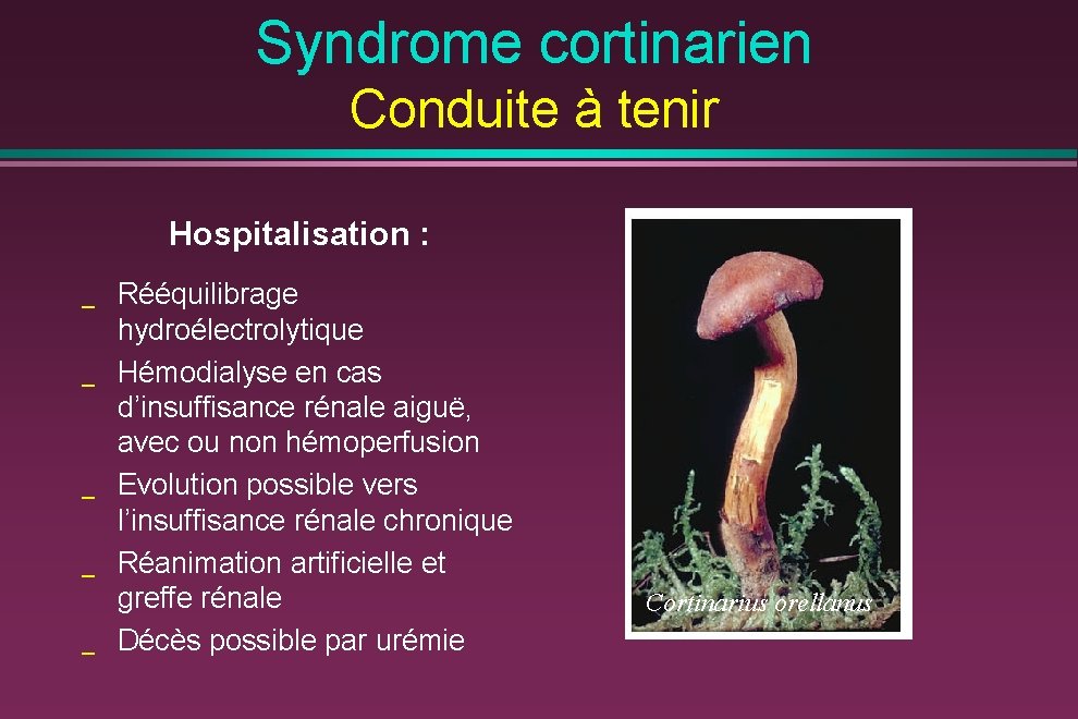 Syndrome cortinarien Conduite à tenir Hospitalisation : _ _ _ Rééquilibrage hydroélectrolytique Hémodialyse en