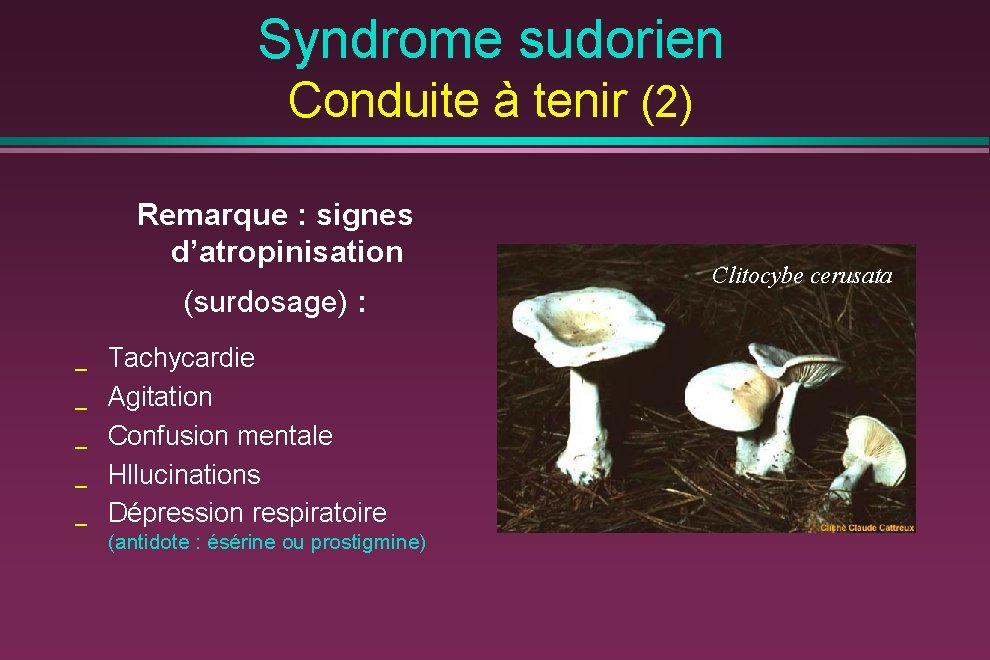 Syndrome sudorien Conduite à tenir (2) Remarque : signes d’atropinisation (surdosage) : _ _