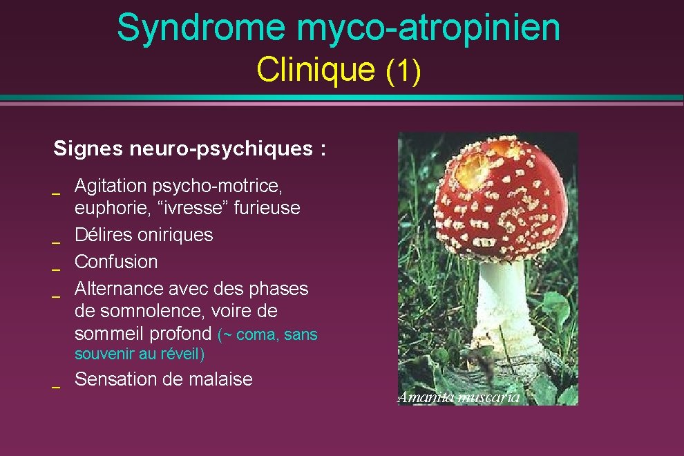 Syndrome myco-atropinien Clinique (1) Signes neuro-psychiques : _ _ Agitation psycho-motrice, euphorie, “ivresse” furieuse