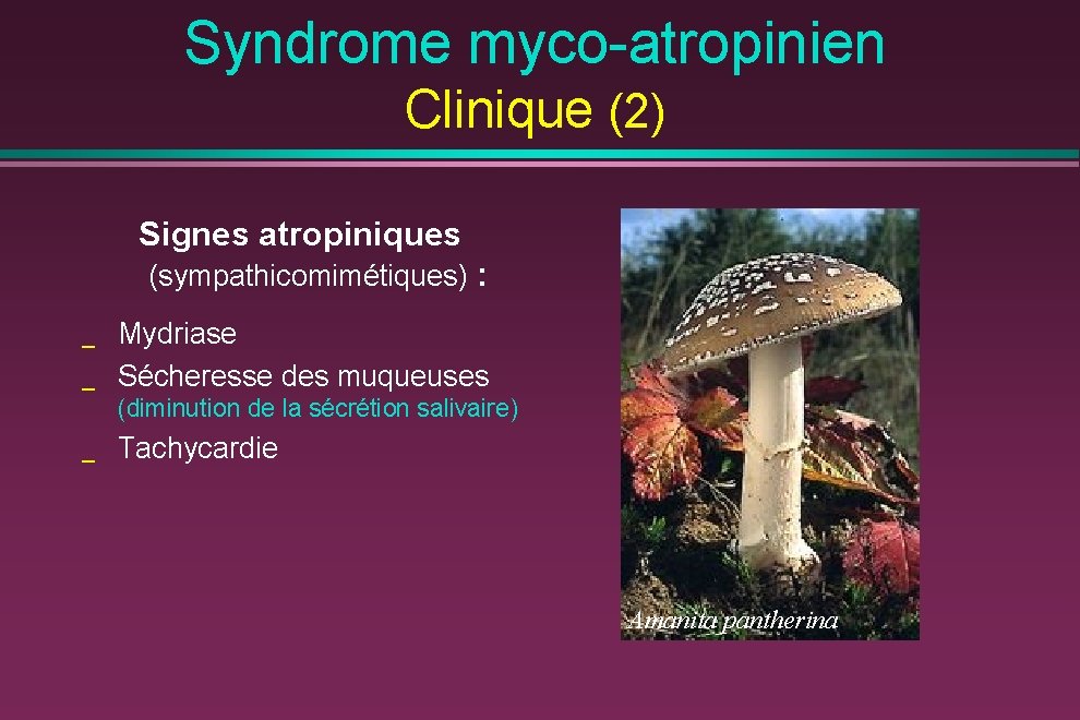 Syndrome myco-atropinien Clinique (2) Signes atropiniques (sympathicomimétiques) : _ _ Mydriase Sécheresse des muqueuses