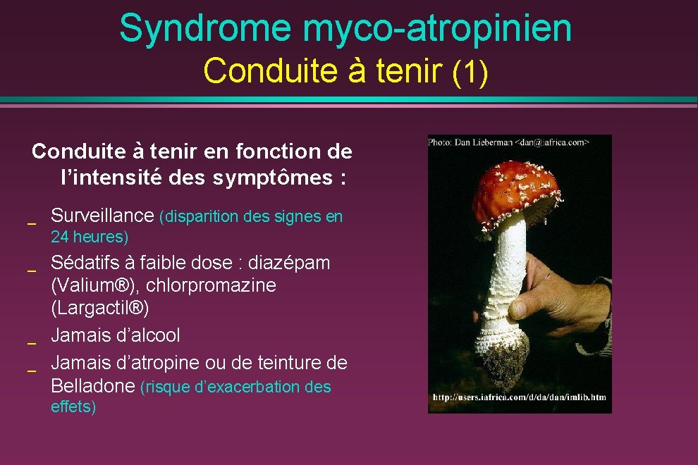 Syndrome myco-atropinien Conduite à tenir (1) Conduite à tenir en fonction de l’intensité des