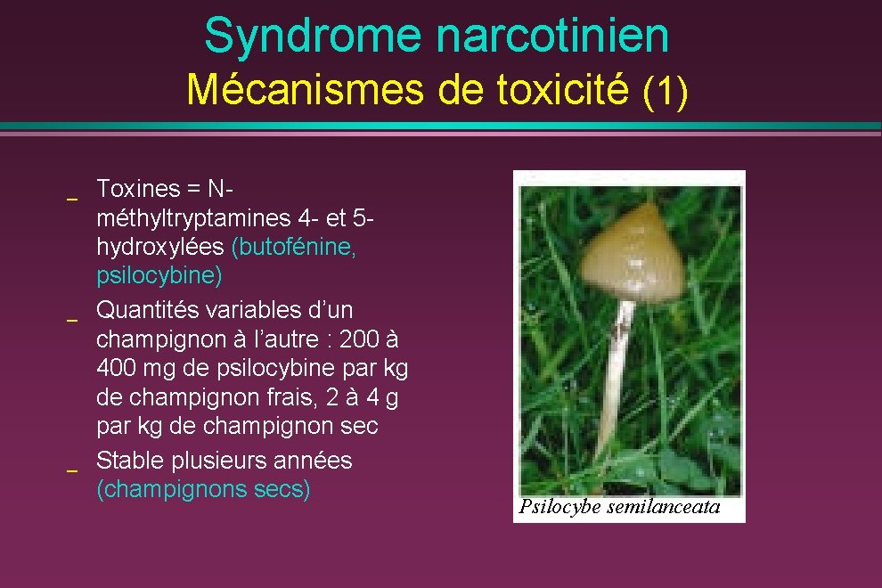 Syndrome narcotinien Mécanismes de toxicité (1) _ _ _ Toxines = Nméthyltryptamines 4 -