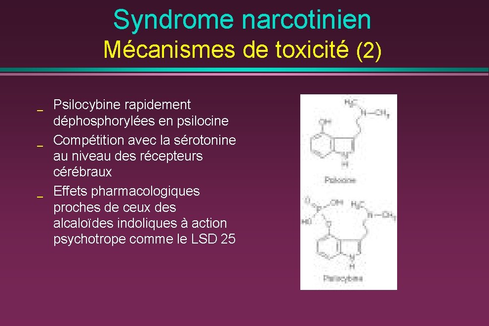 Syndrome narcotinien Mécanismes de toxicité (2) _ _ _ Psilocybine rapidement déphosphorylées en psilocine