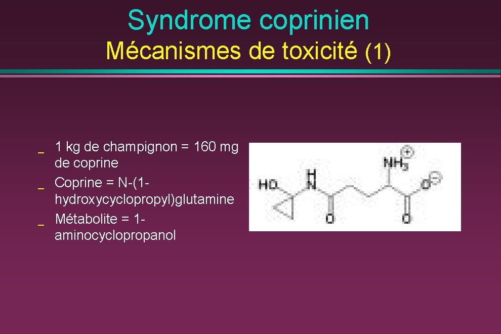 Syndrome coprinien Mécanismes de toxicité (1) _ _ _ 1 kg de champignon =