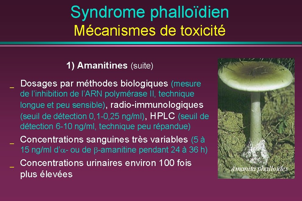 Syndrome phalloïdien Mécanismes de toxicité 1) Amanitines (suite) _ Dosages par méthodes biologiques (mesure