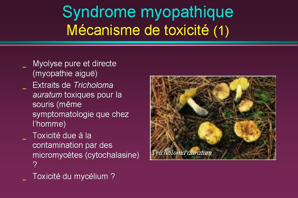 Syndrome myopathique Mécanisme de toxicité (1) _ _ Myolyse pure et directe (myopathie aiguë)