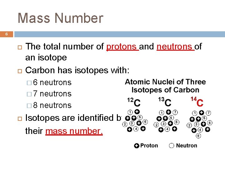 Mass Number 6 The total number of protons and neutrons of an isotope Carbon
